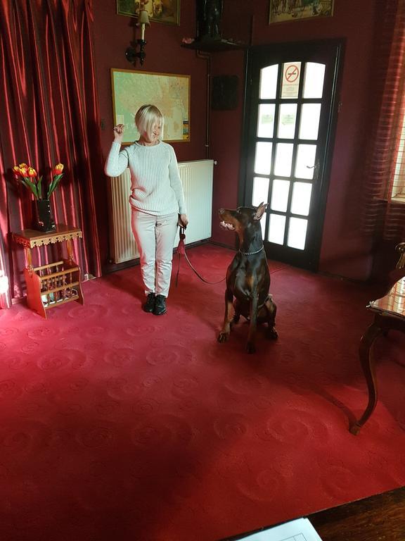 Fiaker Panzio Hotel Miskolc Luaran gambar